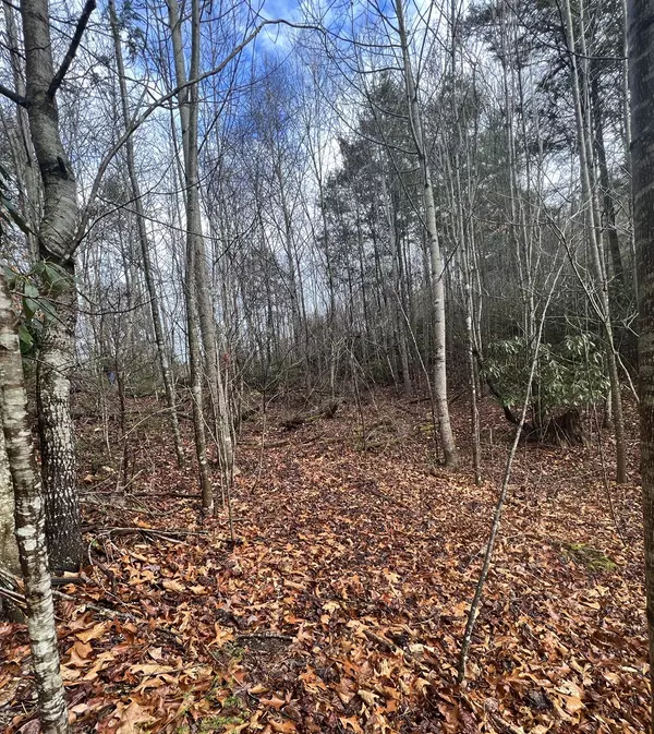 Roan Mountain, TN 37687,Lot #14 Moonlight DR