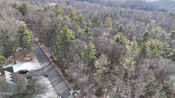 Unicoi, TN 37692,Tr 8 Mountain Laurel CT