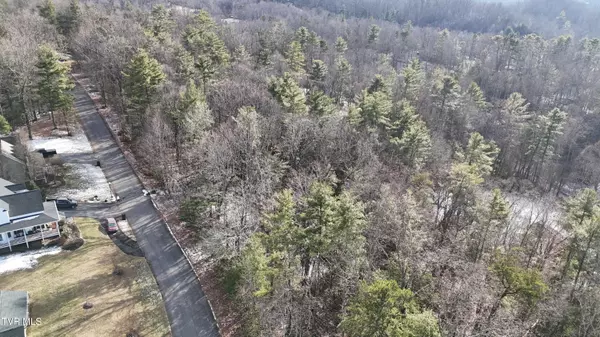Unicoi, TN 37692,Tr 9 Mountain Laurel CT