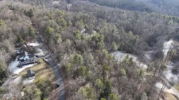 Unicoi, TN 37692,Tr 10 Mountain Laurel CT