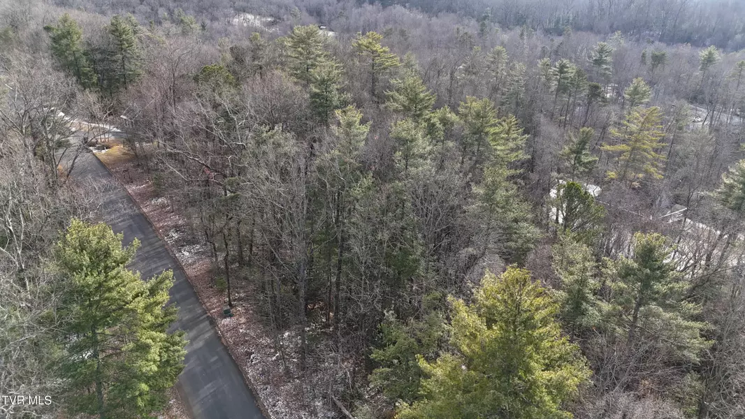 Tr 10 Mountain Laurel CT, Unicoi, TN 37692