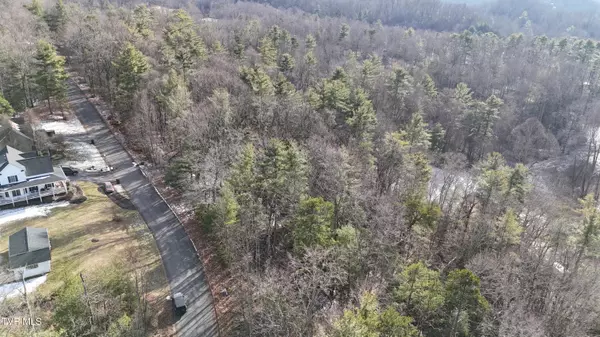Unicoi, TN 37692,Tr 30 Mountain Laurel CT