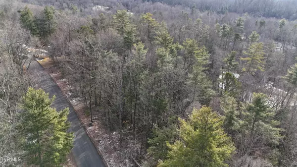 Unicoi, TN 37692,Tr 30 Mountain Laurel CT