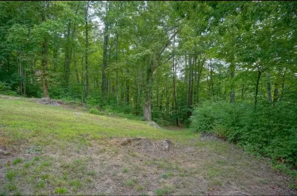 Unicoi, TN 37692,302 Golf Course RD