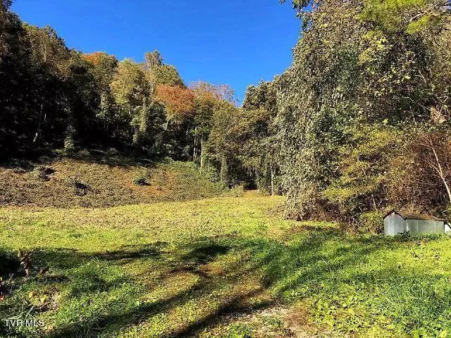 Roan Mountain, TN 37687,171 Dolan Hollow RD