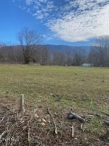 Greeneville, TN 37743,Lot 2 Bishop Loop