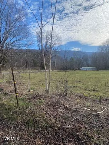 Lot 3 Bishop Loop, Greeneville, TN 37743