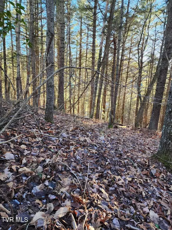 Mountain City, TN 37683,Lot 12 Tbd Laurelwood LN