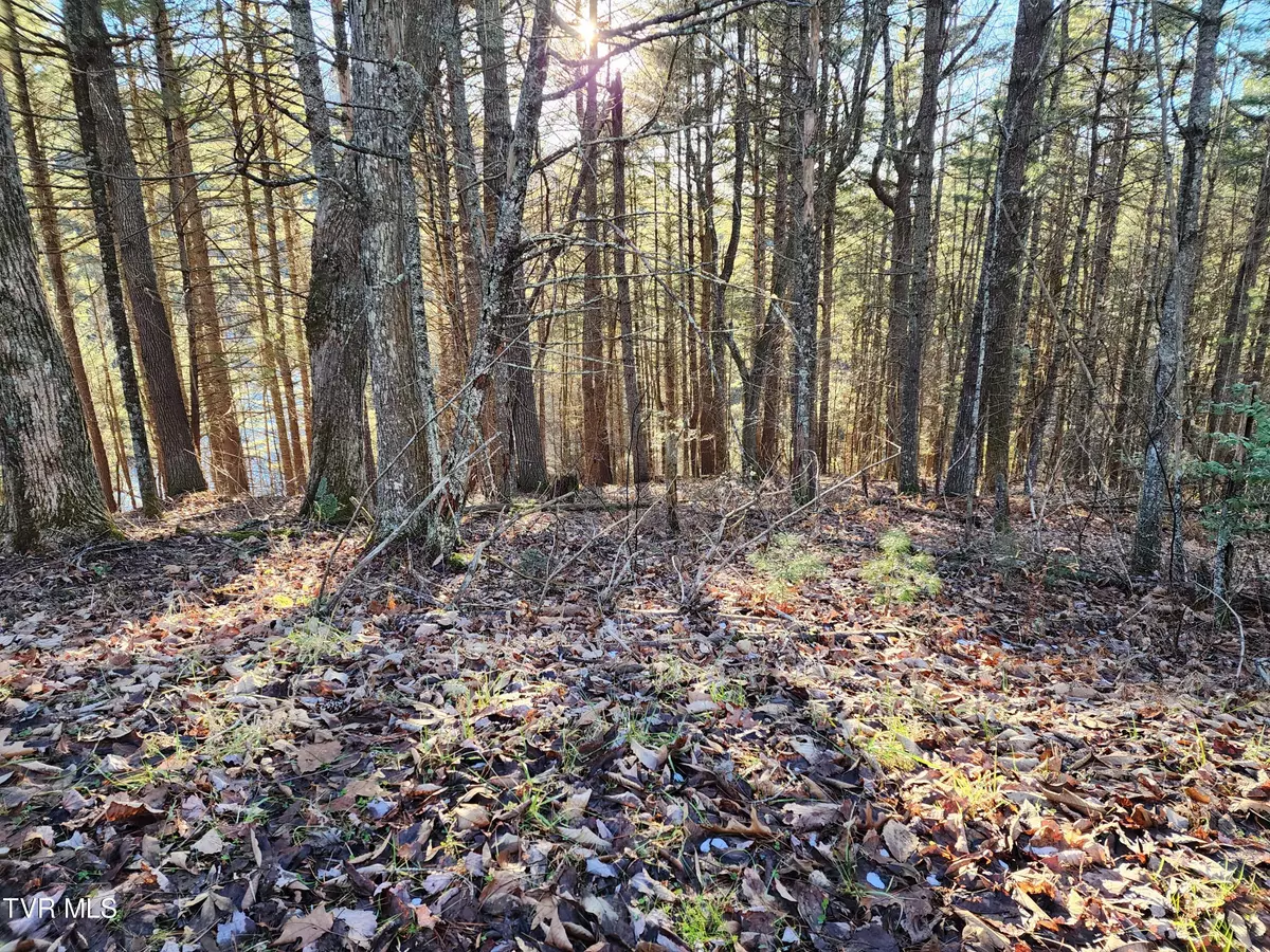 Mountain City, TN 37683,Lot 12 Tbd Laurelwood LN