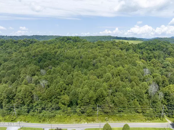 Bristol, TN 37620,636 Meadow View RD