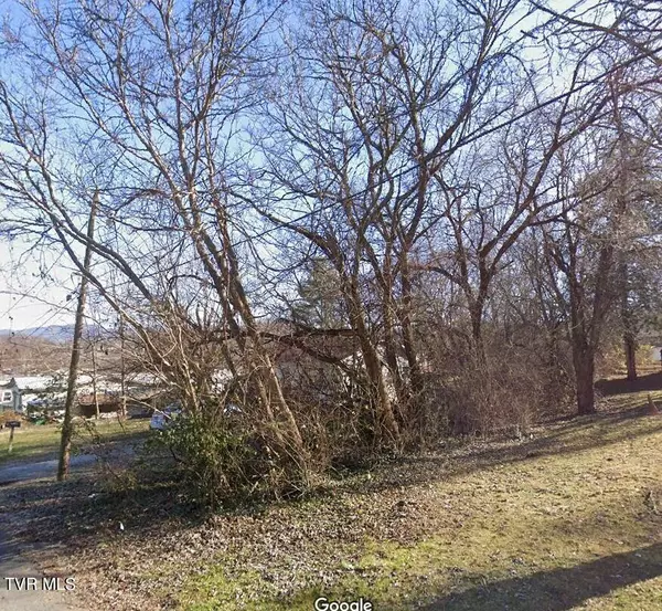 Elizabethton, TN 37643,Lot 5 Fairview CT