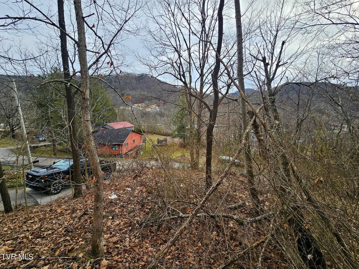 Appalachia, VA 24216,Tbd Ridge AVE