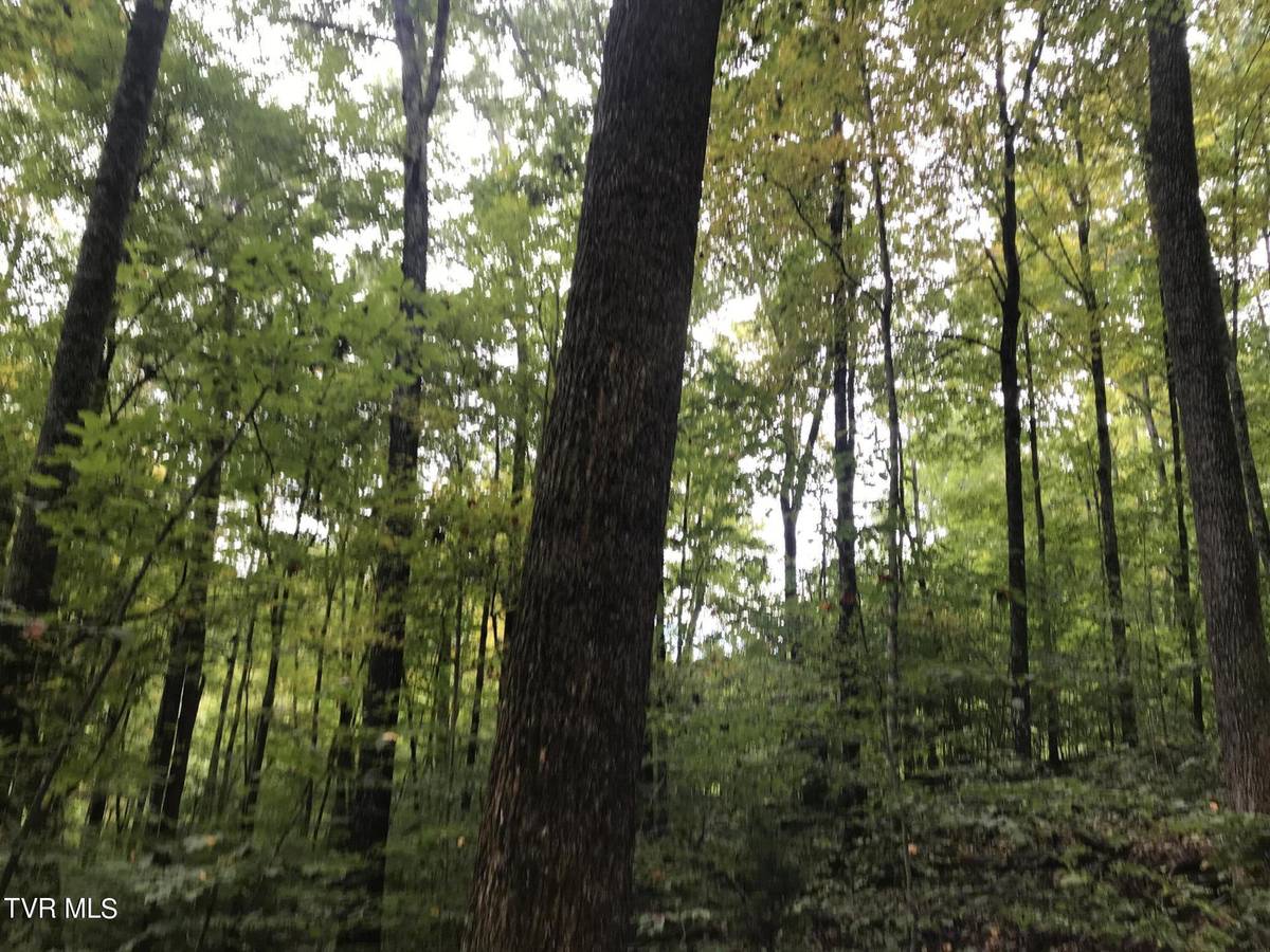 Thorn Hill, TN 37881,60.83 Ac Dana Cope Hollow RD