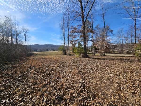 Sharps Chapel, TN 37866,0 Old Leadmine Bend Rd Lot #53 RD