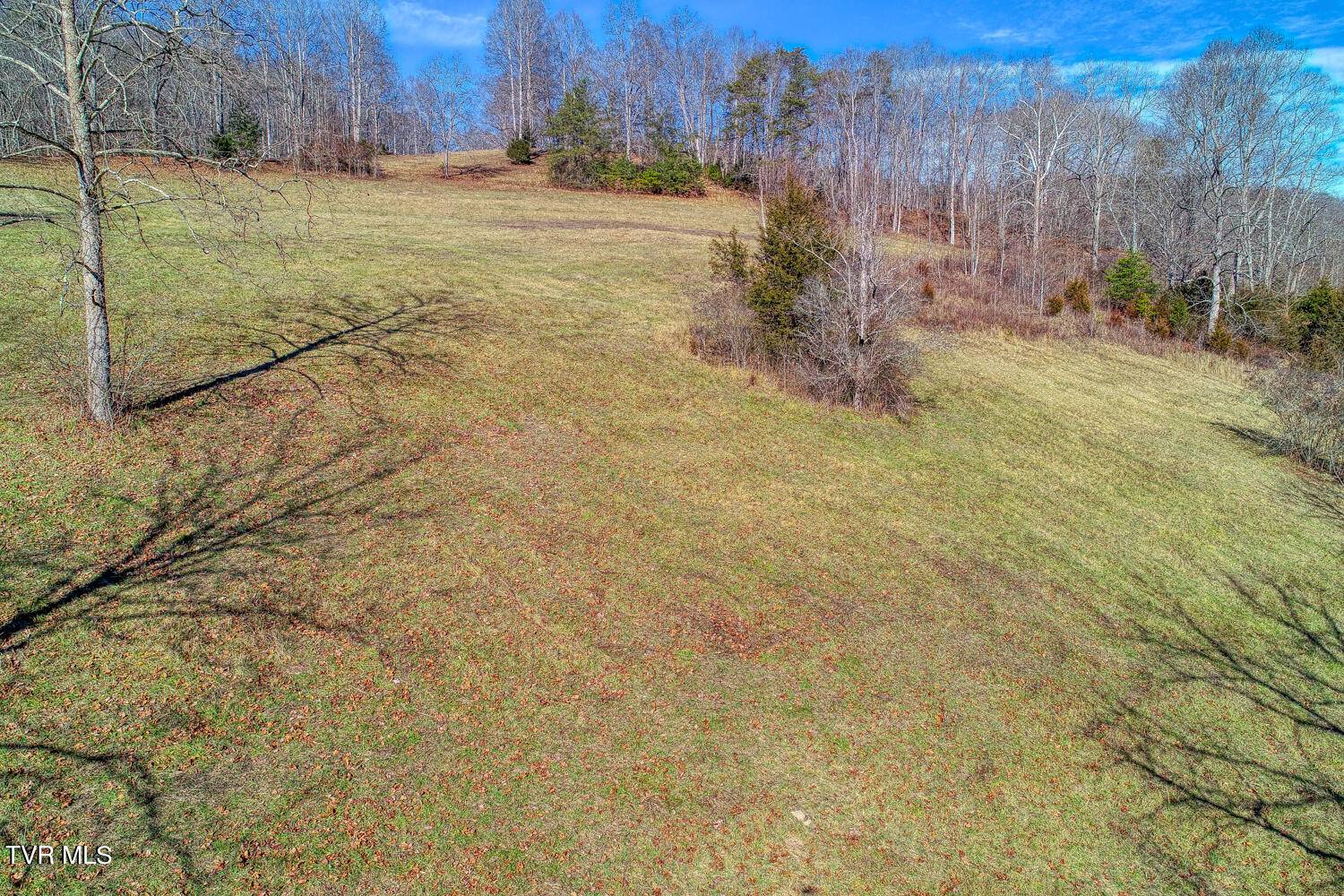 Mendota, VA 24270,Tbd Swinging Bridge RD
