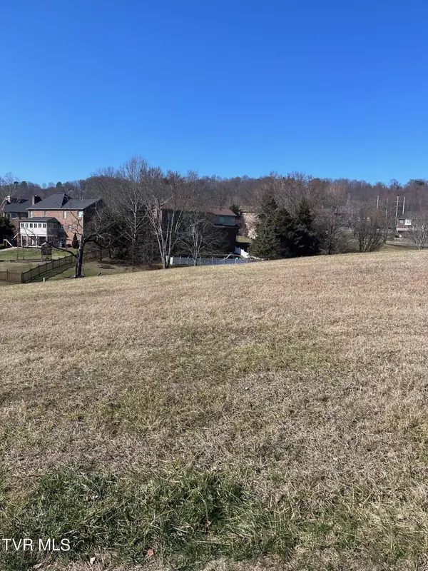 Kingsport, TN 37664,Lot 99 Ashfield DR