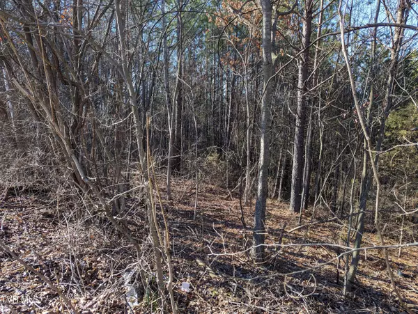 Parrottsville, TN 37843,Lot 22a West DR