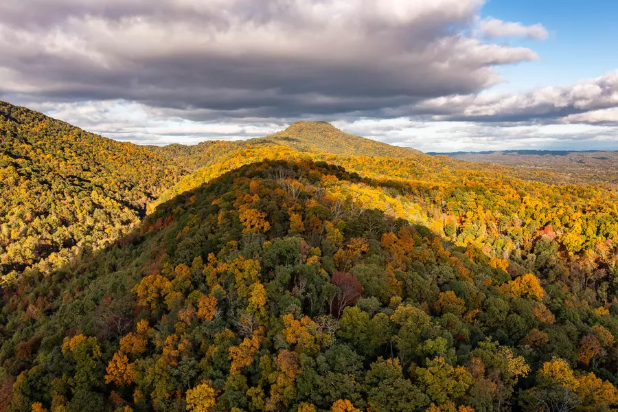 378 Ac Caney Creek LN, Greeneville, TN 37745