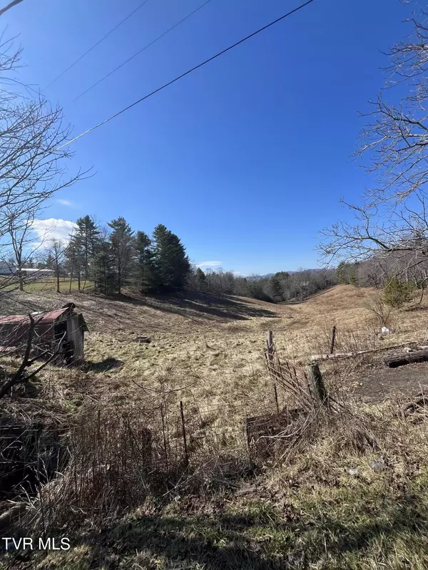 Mountain City, TN 37683,Tbd Red Brush RD