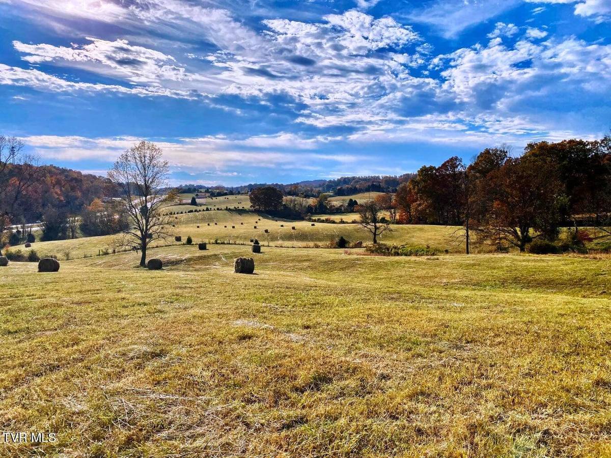 Surgoinsville, TN 37873,Tbd Sr-1 HWY