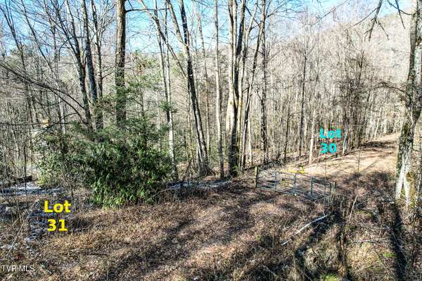 Lot 30 Hemlock DR, Greeneville, TN 37743