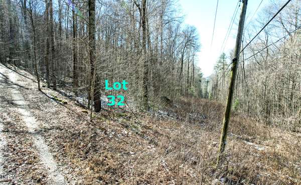 Greeneville, TN 37743,Lot 32 Hemlock DR