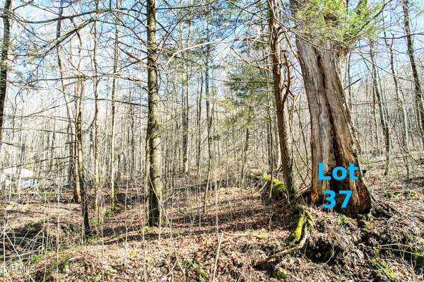 Lot 37 Hemlock DR, Greeneville, TN 37743