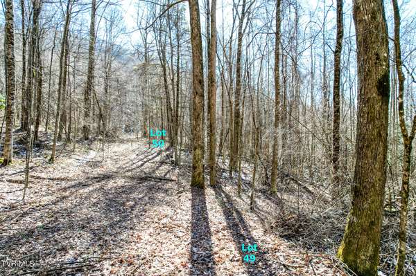 Greeneville, TN 37743,Lot 49 Hemlock DR