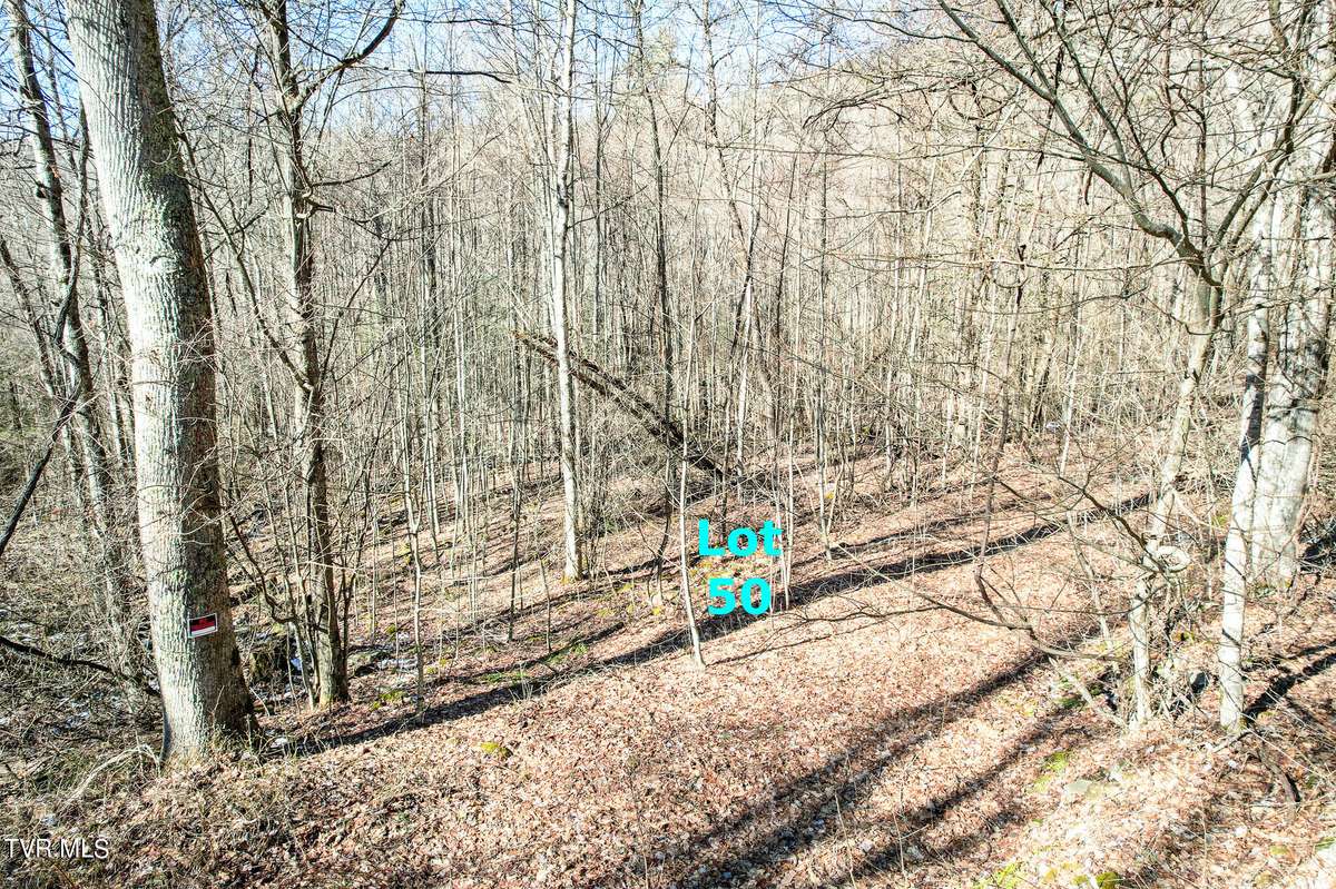 Greeneville, TN 37745,Lot 50 Hemlock LN