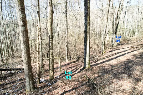 Greeneville, TN 37745,Lot 50 Hemlock LN