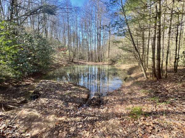 Hartford, TN 37753,000 Black Mountain RD