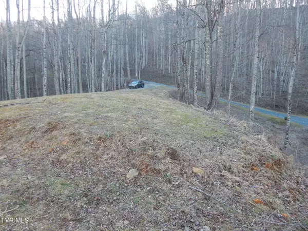 Roan Mountain, TN 37687,Tbd Roan Springs Rd.