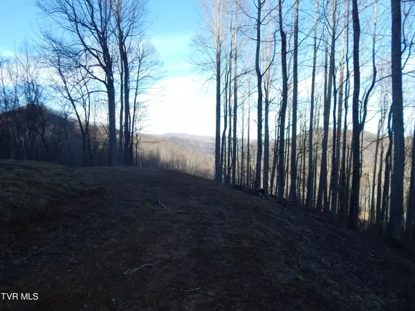 Roan Mountain, TN 37687,Tbd Roan Springs Rd.