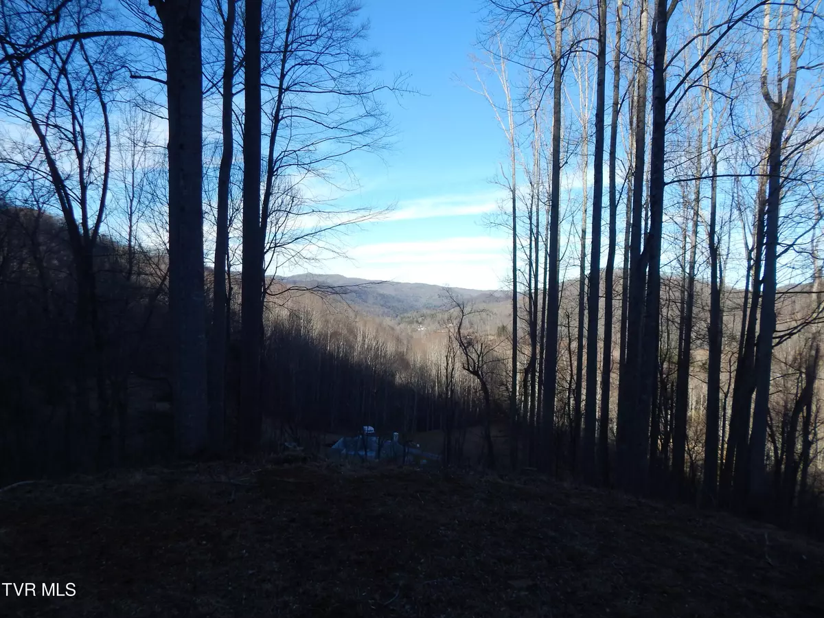 Roan Mountain, TN 37687,Tbd Roan Springs Rd.