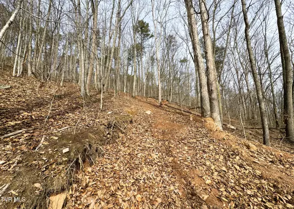 Bulls Gap, TN 37711,000 Speedwell Church RD