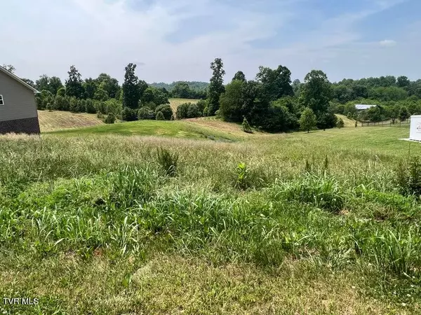 Chuckey, TN 37641,Lot 45 Katie LN