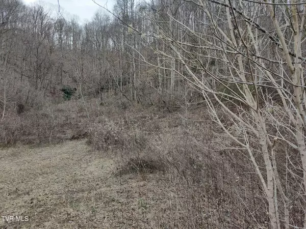 Surgoinsville, TN 37873,Tbd Hickory Cove RD