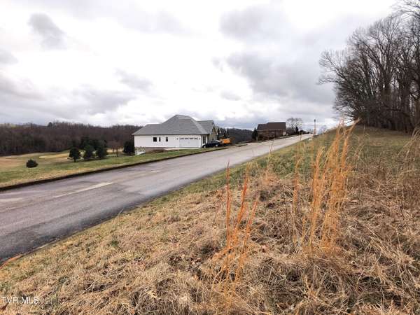 Chuckey, TN 37641,Lot 44 Chimney Top LN