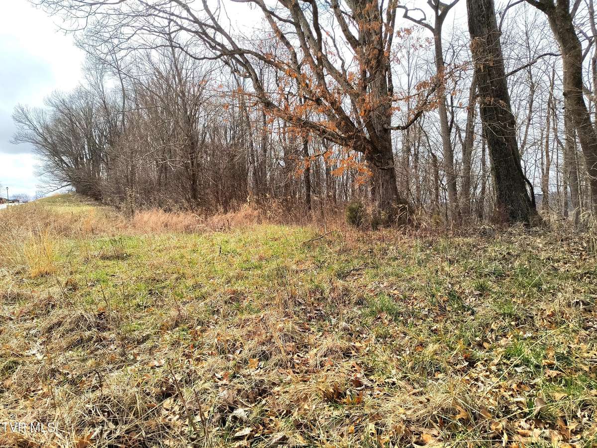 Chuckey, TN 37641,Lot 44 Chimney Top LN