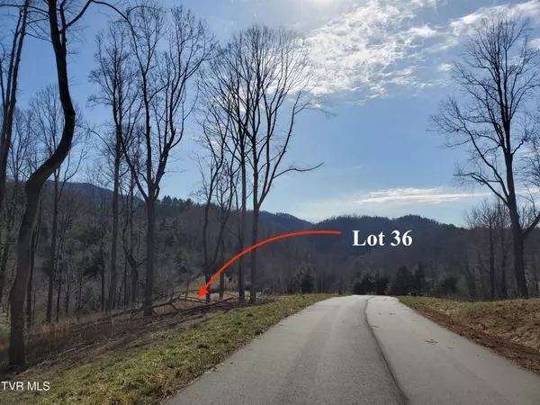 Butler, TN 37640,Lot 36 Cowan Town RD