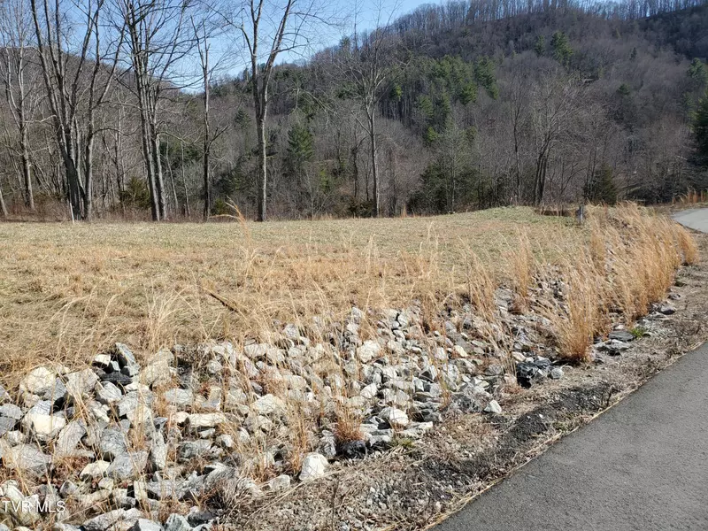 Lot 36 Cowan Town RD, Butler, TN 37640