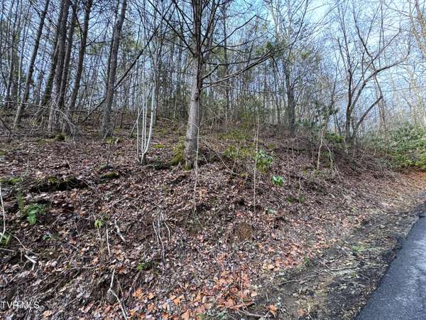 Lot 10 Black Gum Gap RD, Gatlinburg, TN 37738