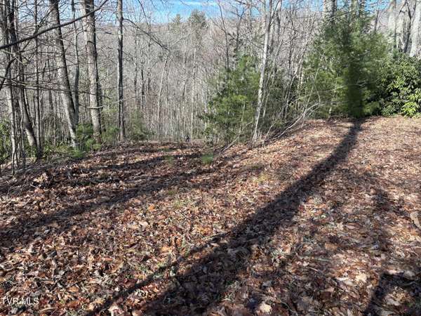 Mountain City, TN 37683,00 Sprucy Ridge Private RD