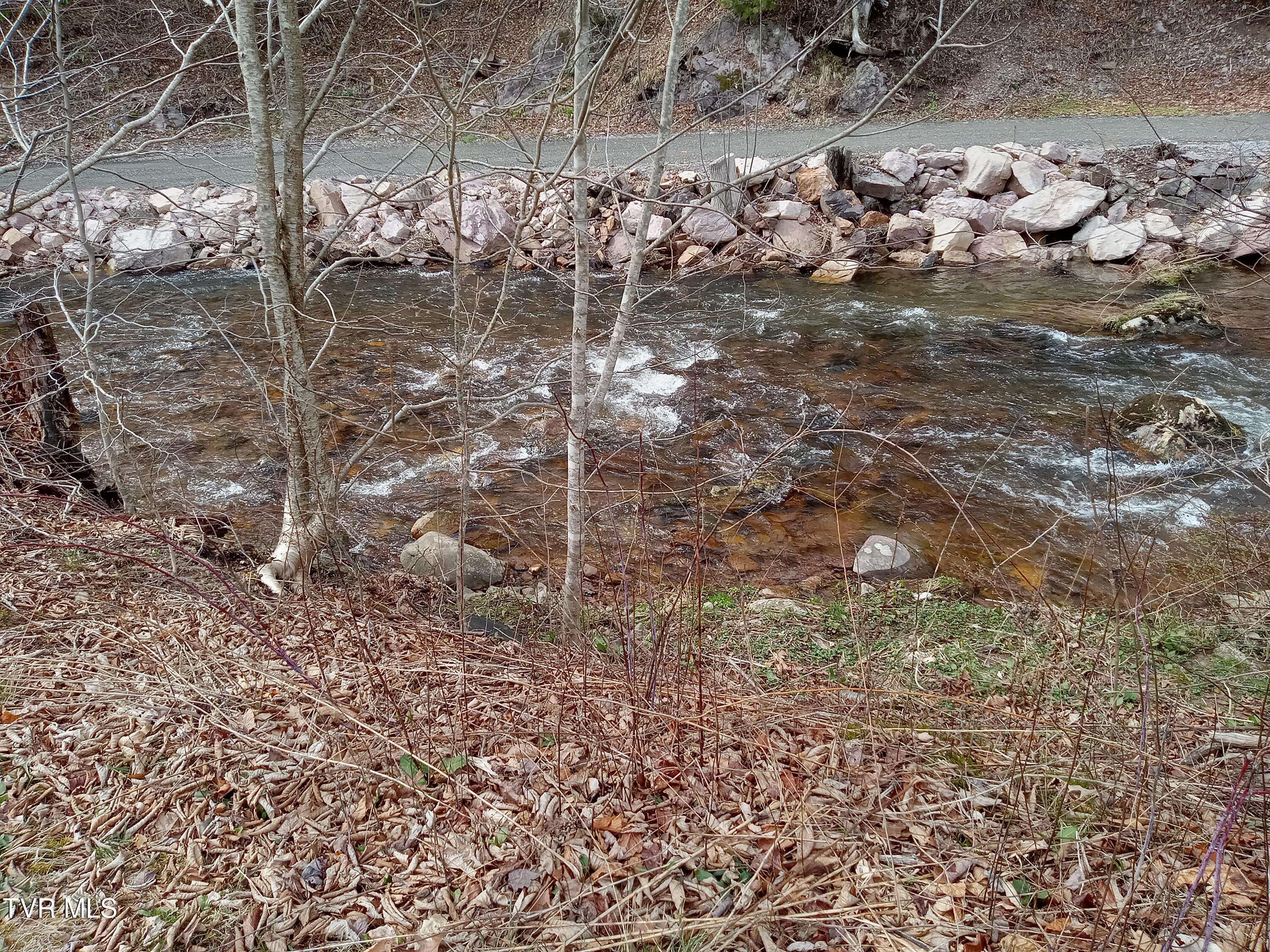 Troutdale, VA 24378,6322 Whitetop RD