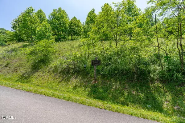 Trade, TN 37691,C34 Bow And Arrow Nvno