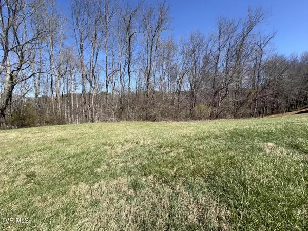 Butler, TN 37640,Lot 8 Deer Ridge CT