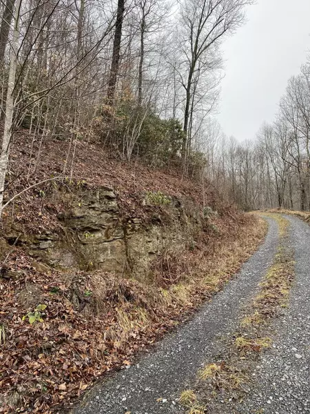 0 Lynn Springs RD, Swords Creek, VA 24649