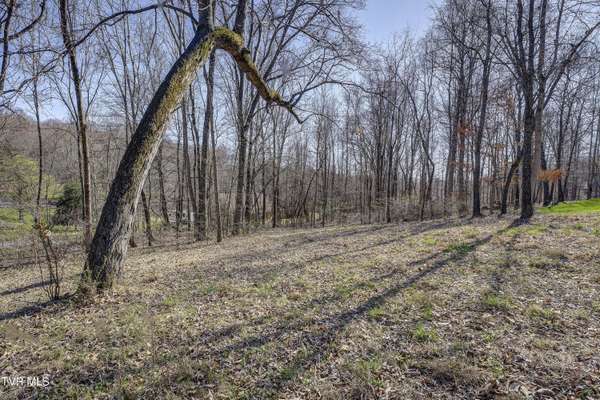 Piney Flats, TN 37686,Tbd Allison Timbers RD