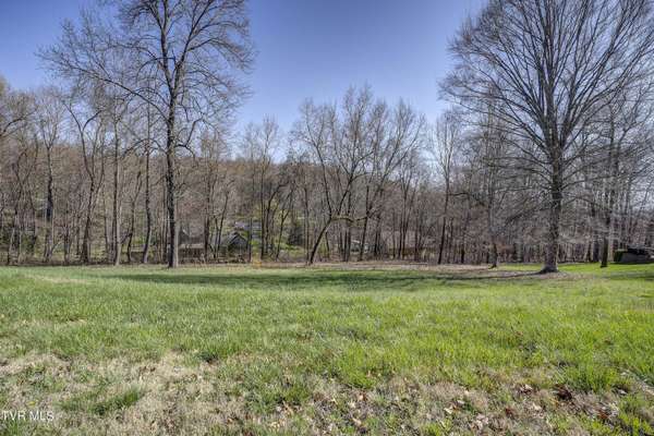 Piney Flats, TN 37686,Tbd Allison Timbers RD