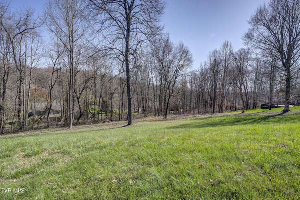 Piney Flats, TN 37686,Tbd Allison Timbers RD